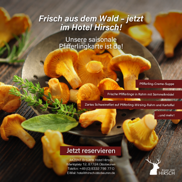 BHH SM_post Pfifferlinge@2x
